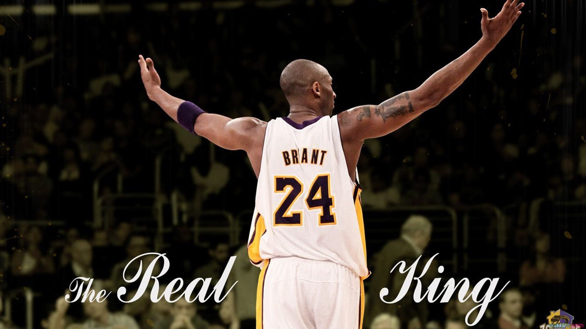 勇士那波反击太快了,简直像开挂,那一年勇士最强